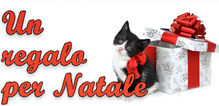 natale_oceweb_it